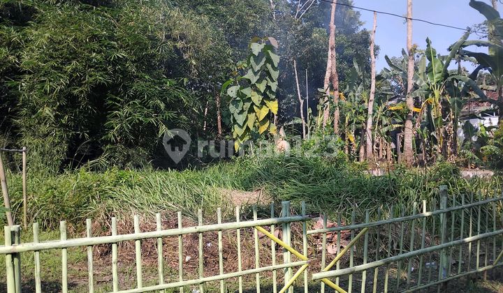 Tanah Di Durungan Wates Kulonprogo Hanya 1 Menit Ke Kota Wates