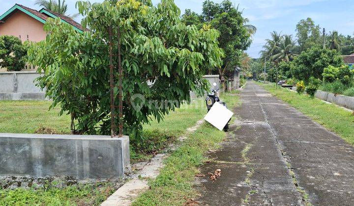 Dijualtanah Di Pengasih Wates Hanya 10 Menit Dari Bandara Yia Kulonprogo Yogya 2