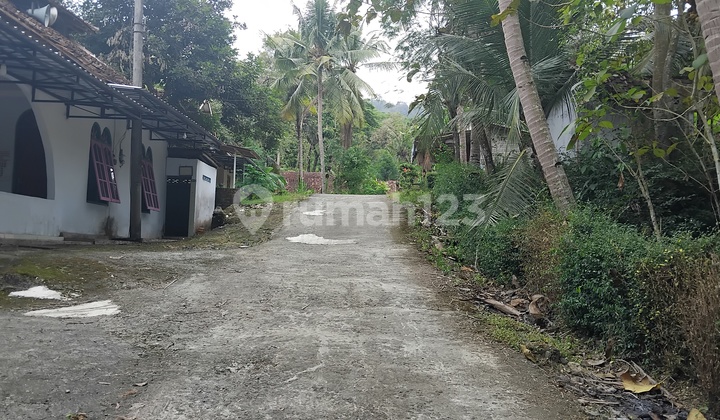 Tanah Di Daerah Pendoworejo Girimulyo Kulon Progo