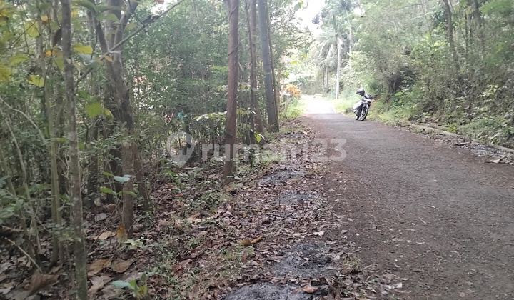 Tanah Di Dekat Pasar Sribit Kulon Progo