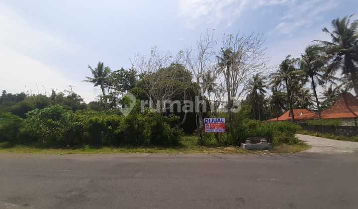 Land for Sale on the Side of Bantul - Samas Road, Near Samas Beach Land for Sale on the Side of Bantul - Samas Road, Near Samas Beach