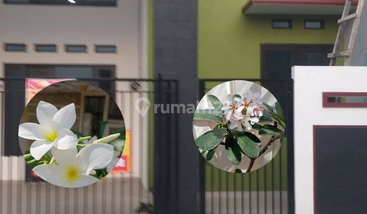 Rumah Hijau Minimalis Harga Murah di Pup Bekasi 1