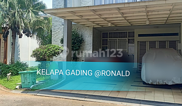 Dijual Rumah Grand Orchard Kelapa Gading 270M2 Bebas Banjir Dijual Rumah Grand Orchard Kelapa Gading 270M2 Bebas Banjir