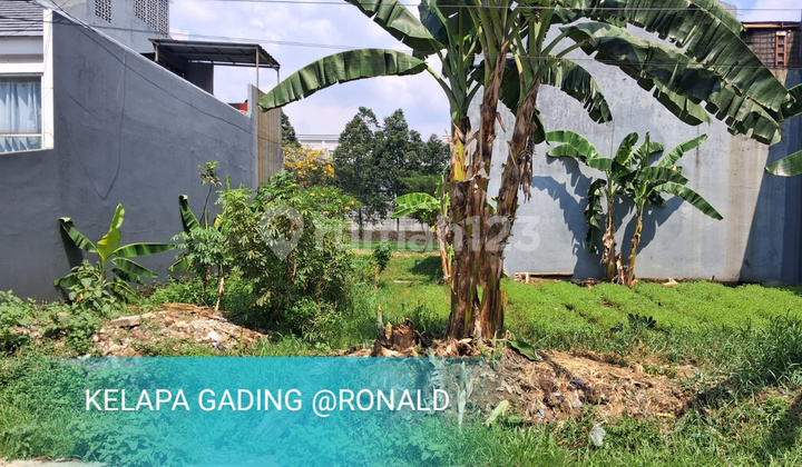 Termurahh!! Jual Kavling Tanah Kelapa Gading 8X15 Harga 1M-An Termurahh!! Jual Kavling Tanah Kelapa Gading 8X15 Harga 1M-An