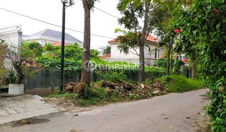 Tanah Jalan Danau Sentani Kosong Dan Luas 1