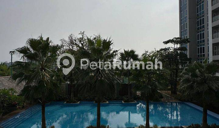 Apartemen Jalan Putri Hijau Apartemen Podomoro Condominium 13