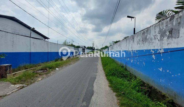 Tanah Jalan Sentosa Daerah Sunggal Tanah Luas  4