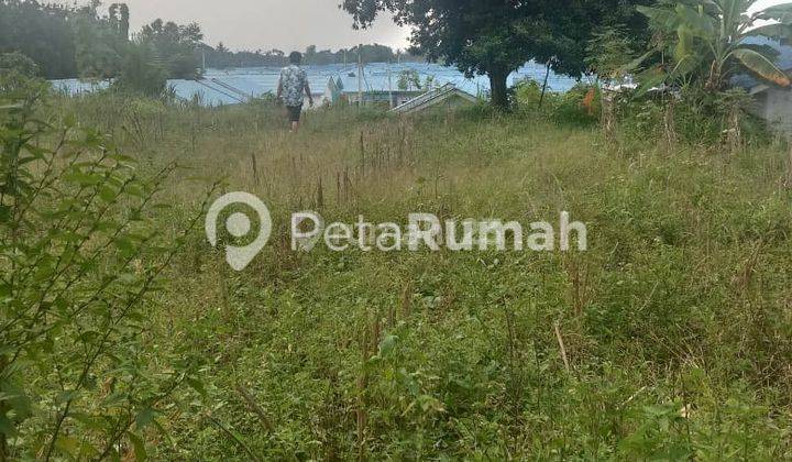 Tanah Jalan Sei Mencirim Gang Perkutut  2