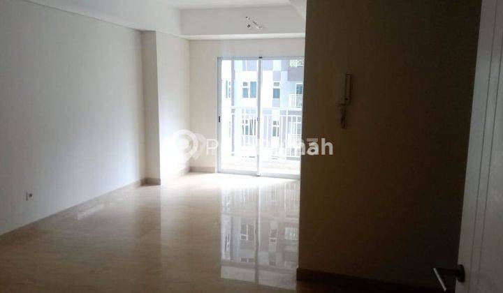 Apartemen Jalan Putri Hijau Apartemen Podomoro Tower Lexington  1