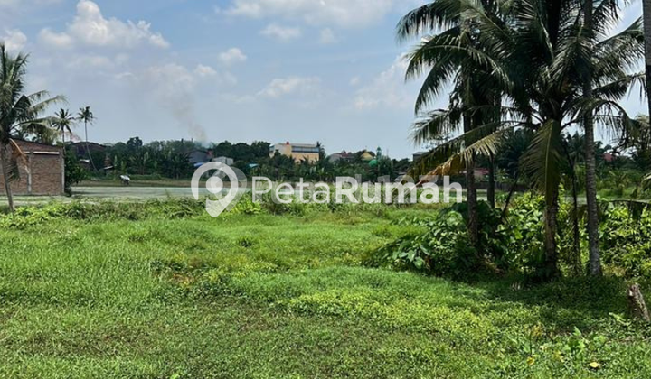 For Sale: Land on Tanjung Morawa Main Road KM 17 For Sale: Land on Tanjung Morawa Main Road KM 17