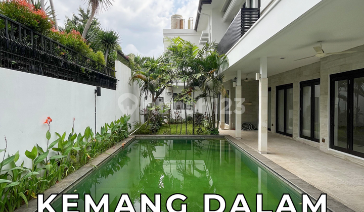 Rumah Modern Tropis Siap Huni Hadap Barat Premium di Kemang Dalam