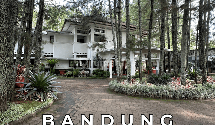 Hotel Hidden Gem di Tengah Hutan Pinus di Jantung Kota Bandung Hotel Hidden Gem di Tengah Hutan Pinus di Jantung Kota Bandung