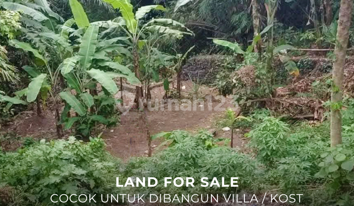 Dijual Tanah Cocok untuk Dibangun Villa atau Kost di Badung Bali Dijual Tanah Cocok untuk Dibangun Villa atau Kost di Badung Bali