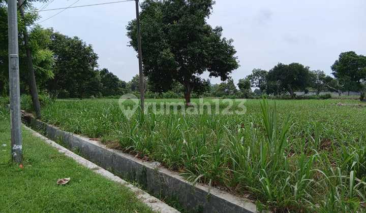 Dijual Tanah Pinggir Jalan Raya,Sedayu Lamongan Dijual Tanah Pinggir Jalan Raya,Sedayu Lamongan