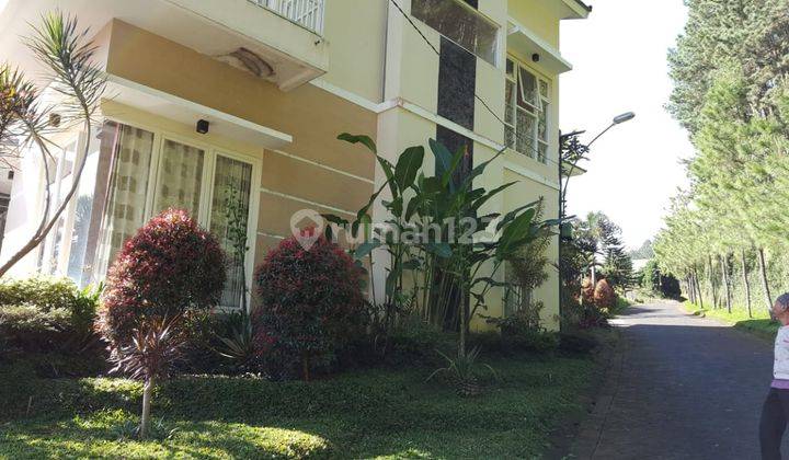 Villa Kusuma Pinus Sejuk View Pegunungan Batu SHM 2