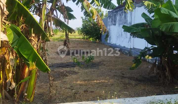 FOR SALE LAND ON THE MAIN ROAD, IN BALONGPANGGANG GRESIK
