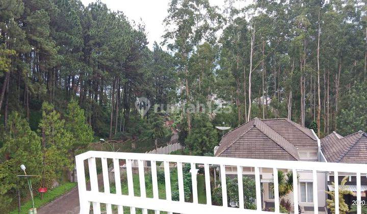 Villa Kusuma Pinus Sejuk View Pegunungan Batu SHM 2