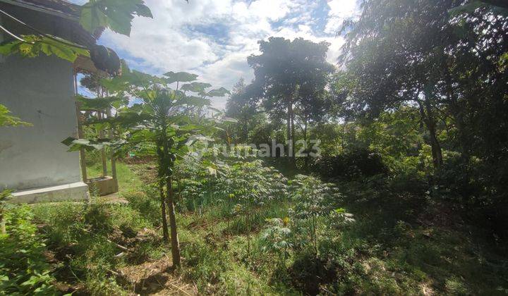 Rumah di Sayap Dago, Jual Cepat Tanah Bonus Rumah Di Punclut Ciumbuleuit Bandung 2