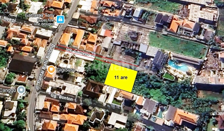 Rare 1100m2 Land in Batu Bolong Beach Area, Canggu... 100 Meters to Gigi Susu and 650 Meters to Old Mans.