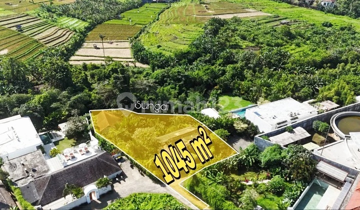 Murahhhhh...tanah Luas 10.45 Are Dengan View Sawah Green Belt Di Padonan Canggu ...18 Menit Ke Atlas Beach Club