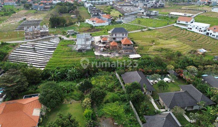 Tanah 8,64 Are (860 m2) di Berawa Canggu...Lingkungan Villa2..hanya 5 Menit ke Atlas Beach Fest  2