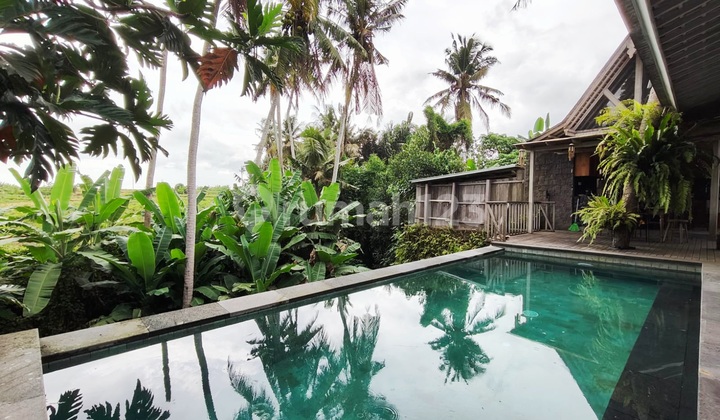 Turun Harga ..Villa Cantik View Sawah di Area Pantai Purnama Dekat Sukawati ...5 Menit ke Pantai Purnama dan 15 Menit ke Sekolah Internasional Dyatmika. 2