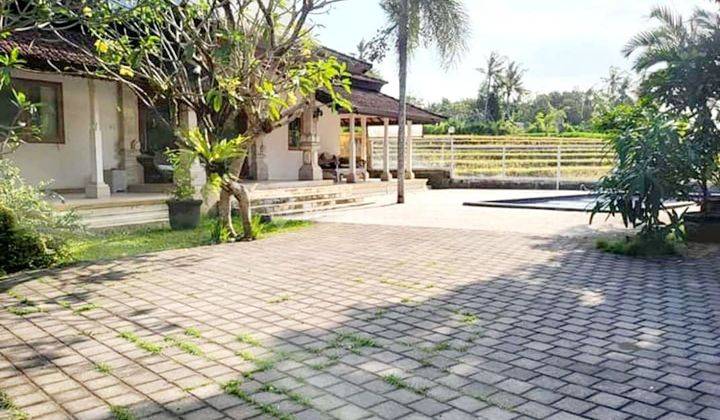 Tanah Bonus Bangunan Villa Dengan View Sawah Di Cemagi , Canggu... 2