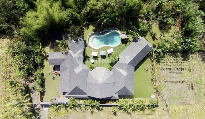 Beautiful villa with Jungle and river view . This villa was designed  by renowned French architect. Close to supermarkets,  traditional market,restaurants and cafe.only 15 minutes to Canggu area at Nyanyi near canggu 2