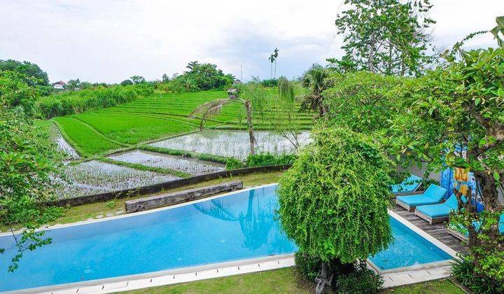 Luxurious Tropical Colonial Villa Chinese And French Design With Stunning Rice Field View At Berawa Canggu.this Villa Design By Well Known Architect Popo Danes Collaboration With Id Stephane Poggi , Only Around 7 Minutes To The Beach, Atlas Beach Club And