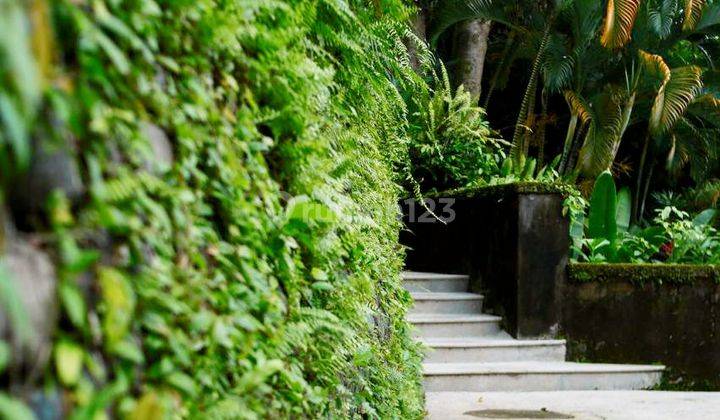 Luxurious Beautiful Freehold villa with river view in Cepaka Kaba Kaba,Tabanan Bali 20