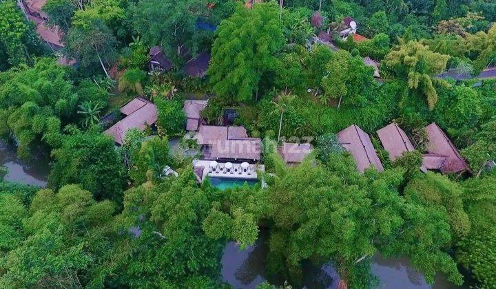 Luxurious Beautiful Freehold villa with river view in Cepaka Kaba Kaba,Tabanan Bali 34