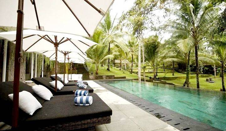 Luxurious Beautiful villa and closed to the beach in Pantai Medewi Pekutatan,Negara Bali 23