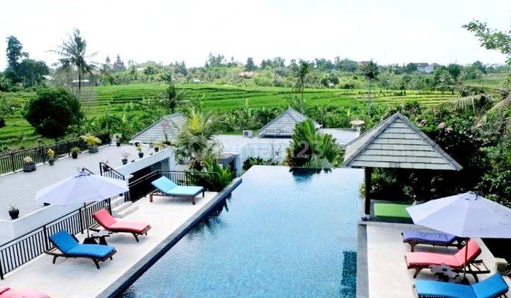 Tropical Modern and balinese villa with Rice Field view ,only 10 minutes to Pererenan beach and 13 minutes to La Brisa Echo beach at Tumbak bayuh Pererenan, canggu 1