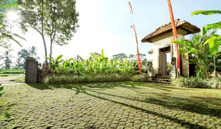 TURUN HARGA...Beautiful villa with Rice field view , only 20 minutes to Central Ubud at Tegalalang Ubud  2