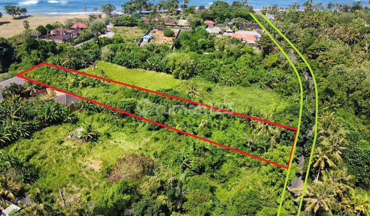 Land 2600m2, walk to the beach which is only 200 meters and only 15 minutes to Sanur Harbor in Saba, Gianyar 2