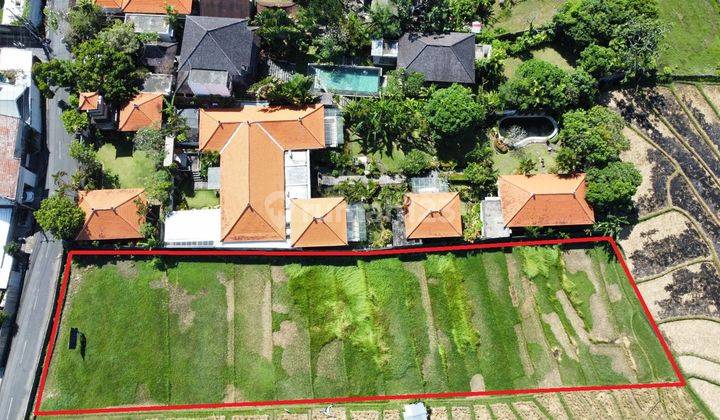 Tanah 2000m2 dengan Akses jalan aspal dan lingkungan Villa2 di Bumbak Umalas 2