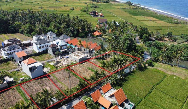 PLANT LAND...4000m2 land (500m2 can be purchased) with 2 villa surroundings...only 250 meters to Purnama Beach, Gianyar 2