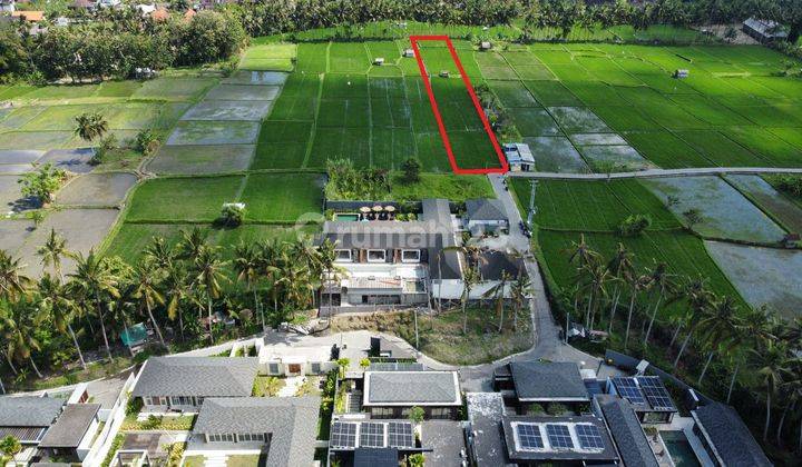 2,520m2 land in front of the Palm Villa Complex, only 7 minutes / 1.5km to Restaurant Bebek Tepi Sawah and 10 minutes to Central Ubud in Peliatan Ubud  1