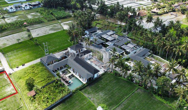 2,520m2 land in front of the Palm Villa Complex, only 7 minutes / 1.5km to Restaurant Bebek Tepi Sawah and 10 minutes to Central Ubud in Peliatan Ubud  2