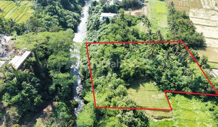 Land 5,220m2 River loss with river width +-100m2 in Lodtunduh Ubud  2