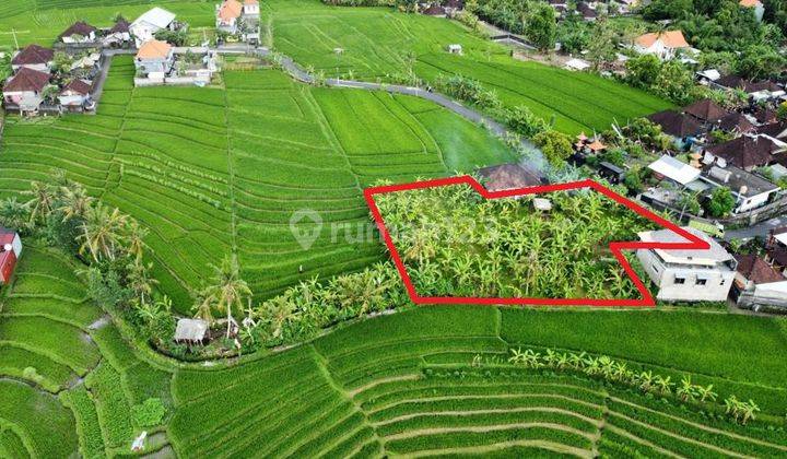 1100m2 land with Abadi Rice Field View, only 15 minutes to Pererenan Beach in Tumbak Bayuh Pererenan, Canggu  1