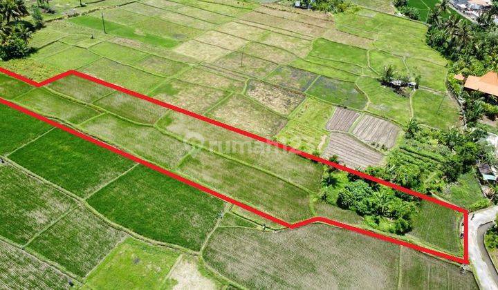 Land 2,795m2 only 650 meters to Bebek Tepi Sawah and 10 minutes to Ubud Palace with a calm and comfortable strategic location in Teges Peliatan, Ubud 2