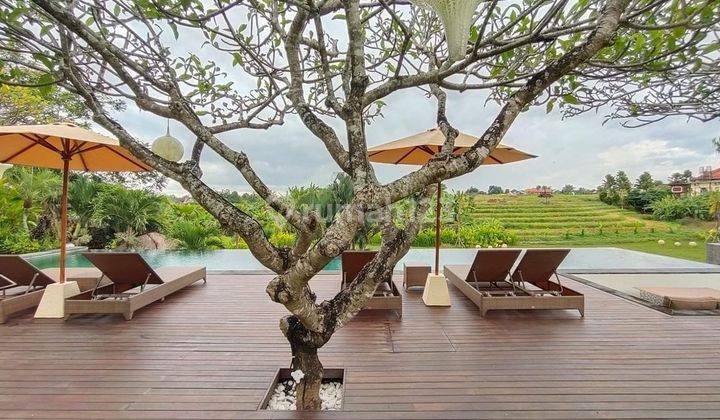 Beautiful freehold Villa with Rice field view and massive garden at Babakan Canggu.... Just 12 minutes to Batubolong and Echo beach  , 15 minutes to Pererenan Beach and 20 minutes to Berawa beach and Atlas Beach club 