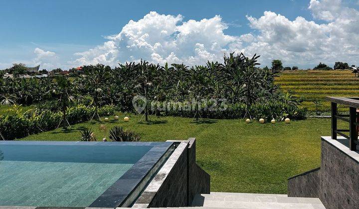 Turun Harga...villa With Rice Field View And Massive Garden At Babakan Canggu.... Just 12 Minutes To Batubolong And Echo Beach , 15 Minutes To Pererenan Beach And 20 Minutes To Berawa Beach And Atlas Beach Club  2