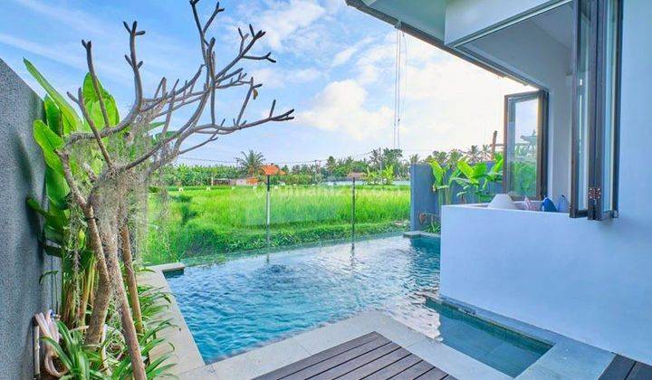 Beautiful villa with rice field views in Singakerta, Ubud 1