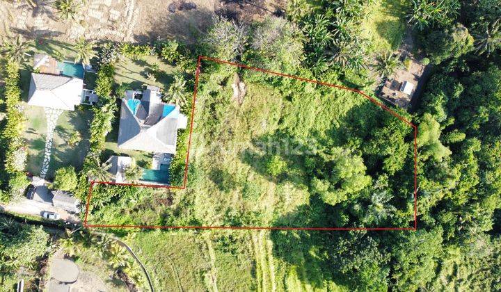 Tanah 2.950m2 dengan View Sawah dan Sungai di Batuan , Sukawati Gianyar..hanya 15 menit ke Ubud , 25 menit ke Ubud Palace dan 30 menit ke Mongkey Forest  2