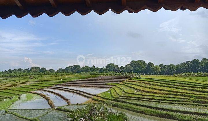 Villa Cantik dengan View Sawah Abadi di Tumbak Bayuh, Pererenan Canggu..15 menit ke Pererenan Beach dan 20 menit ke Berawa beach serta Atlas Beach Fest  1