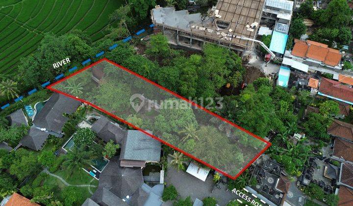 Land 1.375m2 with Green Belt Rice field view and River Front at Pererenan, canggu..8 minutes to Pererenan Beach  1