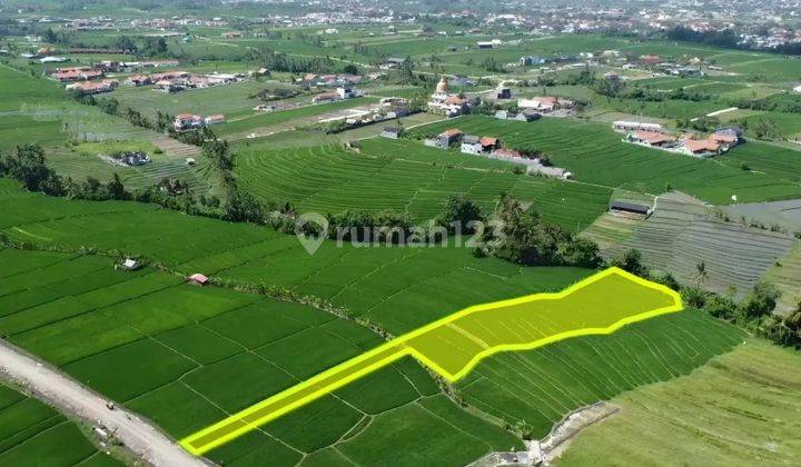 Tanah 3.064m2 dengan  view sawah di Seseh beach, Canggu... 600 meter ke Pantai Seseh Canggu 2