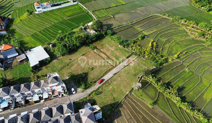 Land 3,490m2 Onegate cluster in Munggu, Tumbak Bayuh... suitable for villa complexes, private villas etc.. 8 minutes to Seseh Beach and Munggu Beach... 15 minutes to Pererenan Beach  2